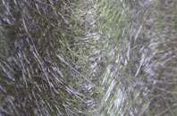 Toddlehills fibreglass roof work